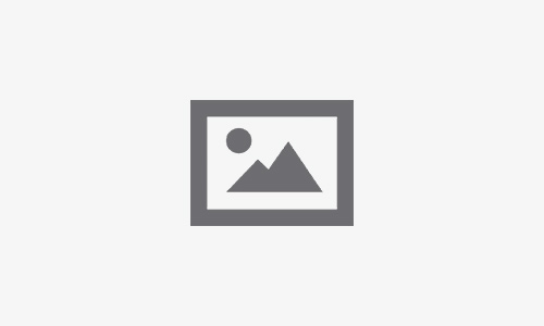 లైవ్ లోకి  ప్రపంచంలోని మొట్టమొదటి సూపర్ సస్టైనబుల్ బ్లాక్‌చెయిన్ టోకెన్ KICHEE by Creduce